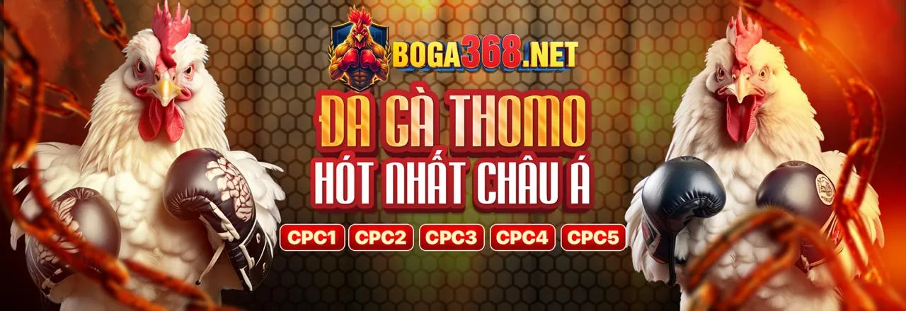 Hình ảnh giới thiệu Dola88 Code