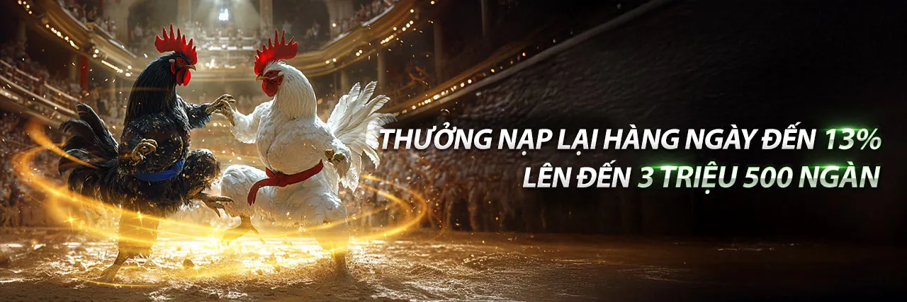 Đá gà Dola88 – Sân đấu kịch tính với dola88 code độc quyền